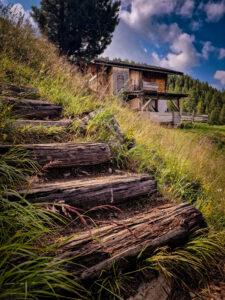 Impressionen aus der Umgebung - Details