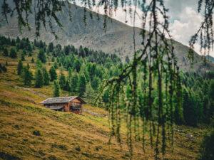 Impressionen aus der Umgebung - Herbstbild